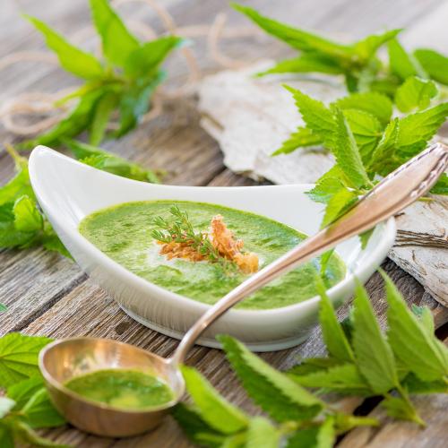 2. Frühlings-Tag- und Nachtgleiche