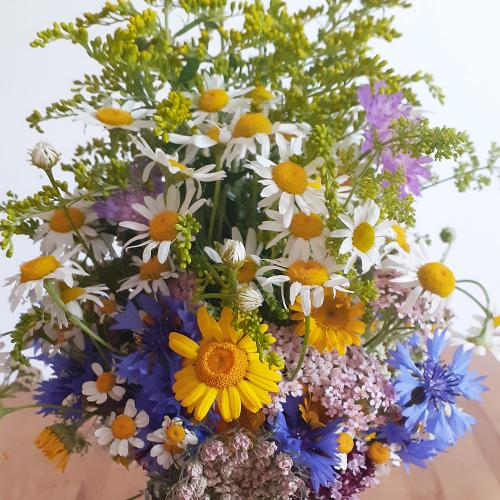 Wildblumensträße